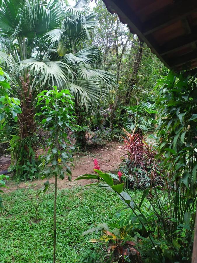 Apartamento Toca Da Onca Penedo  Exterior foto